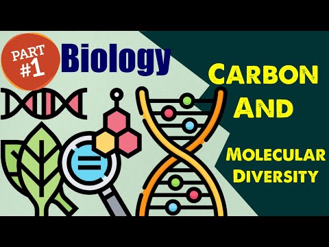 Video: Hva er rollen til karbon i livets molekylære mangfold?