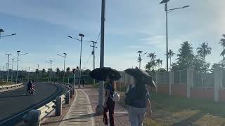 FINAL PROJECT: "Art in Motion" – A Visual Reflection Vlog Net Worth