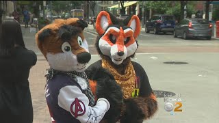 Furries Converge On Pittsburgh For Annual Anthrocon