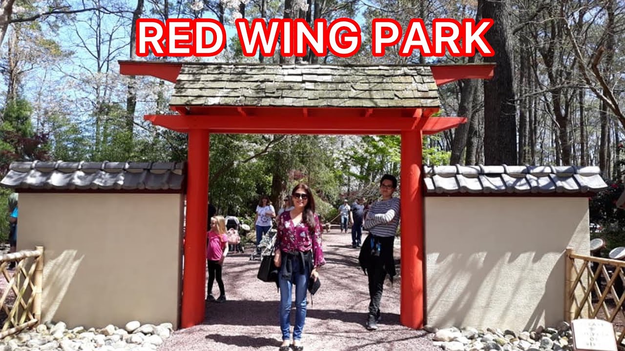Red Wing Park Miyazaki Japanese Garden Virginia Beach, VA iSay
