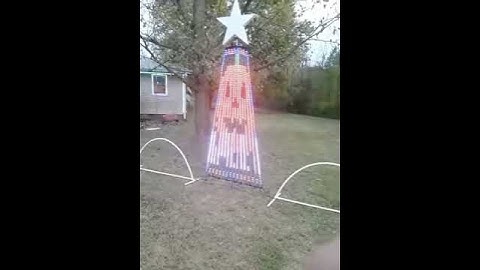 Megatree daytime test