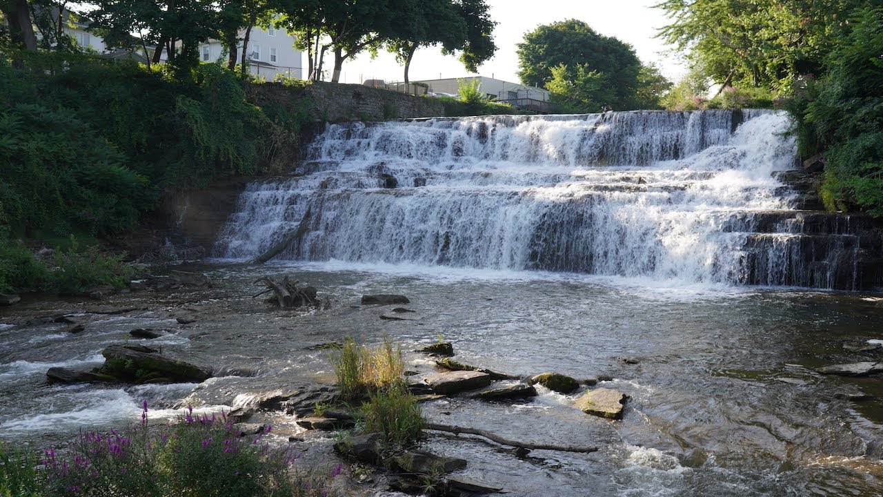 Morning Walk Glen Falls & Amherst State Park | Western New York