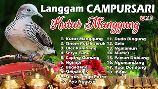 Langgam Campursari ''Kutut Manggung'' #Dasastudio