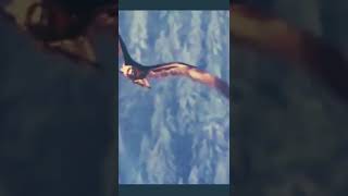 Sahibinden Orjinal Haber Hayatın İçinde Ne Varsahepsi Burada