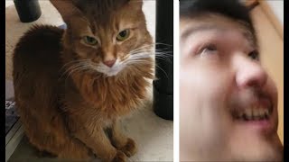サーターアンダギーごっこ
