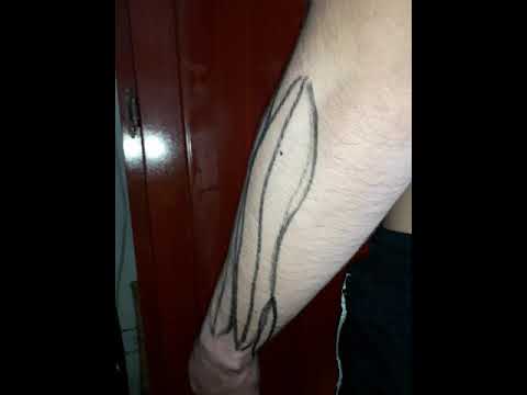 video editing software free Músculos posteriores del antebrazo y mano