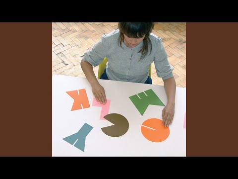 Momus — The Birdcatcher