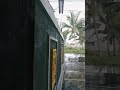 Rain Sounds For Relaxing #rain #rainsounds #deepsleep #rainforsleeping