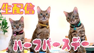 【生配信9/8】3兄弟ハーフバースデーを祝う生配信