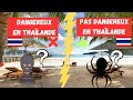 Questions pour un 1er voyage  koh samui  questionsrponses pour prparer votre voyage 