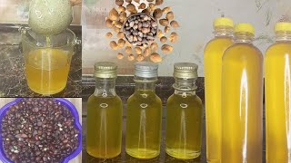 How to Make Clear Organic Palm Kernel Oil | Easy and Simple Extraction Steps
