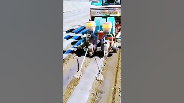 Sharing of the sowing process = good machinery and methods can improve efficiency