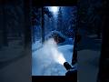 A magical night in the wilderness.🌲🌙#moonlight #cinematic #winterwonderland #cabinbliss