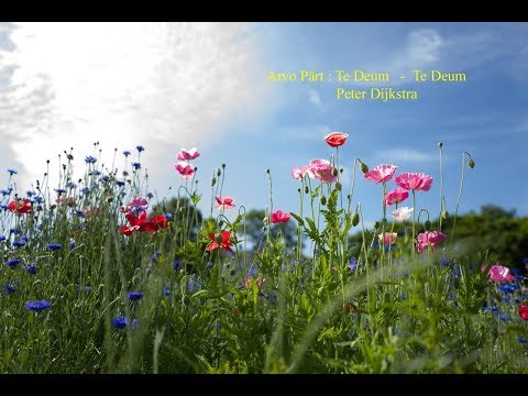 Part : Te Deum  -  1. Te Deum
