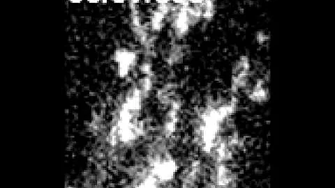 Region of interest of a 3T3 cell