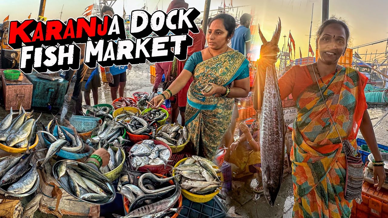 Karanja Dock Fish Market | आताचा  चालू भाव
