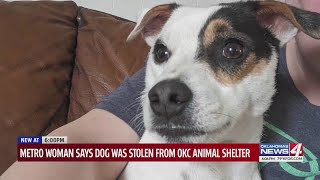 Metro woman says dog was stolen from okc animal shelter