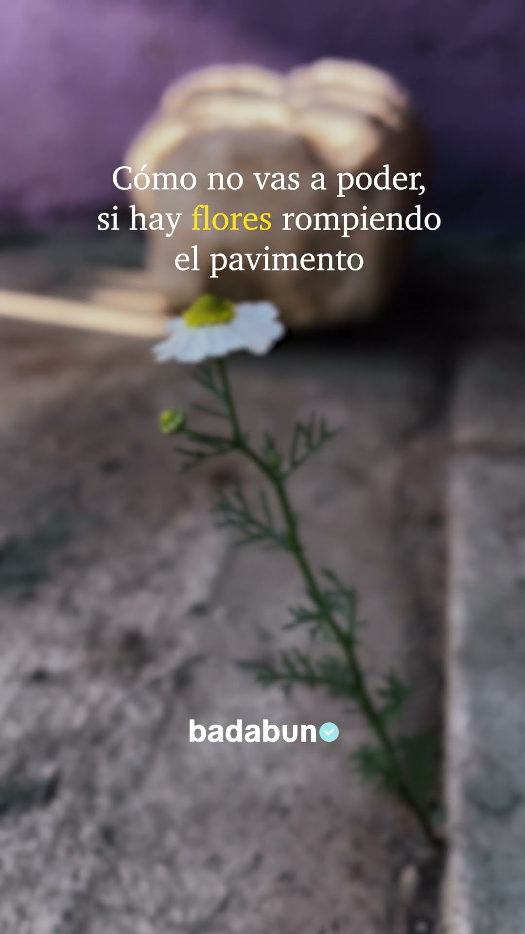 Eres más fuerte que cualquier obstáculo❤️