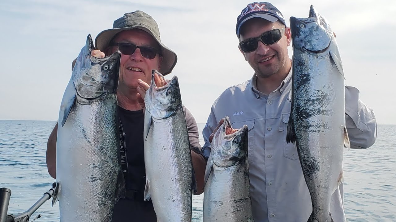 Lake Ontario Coho Salmon Fishing YouTube