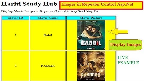 Display Image in Repeater Control Asp.Net C# | Hindi | Learning Online Classes