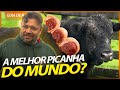 ANGUS, O BOI QUE PRODUZ A MELHOR PICANHA? | RICHARD RASMUSSEN