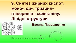 9. Синтез жирних кислот, моно-, ди-, триацилгліцеринів і сфінганіну.  Ліпідні структури.