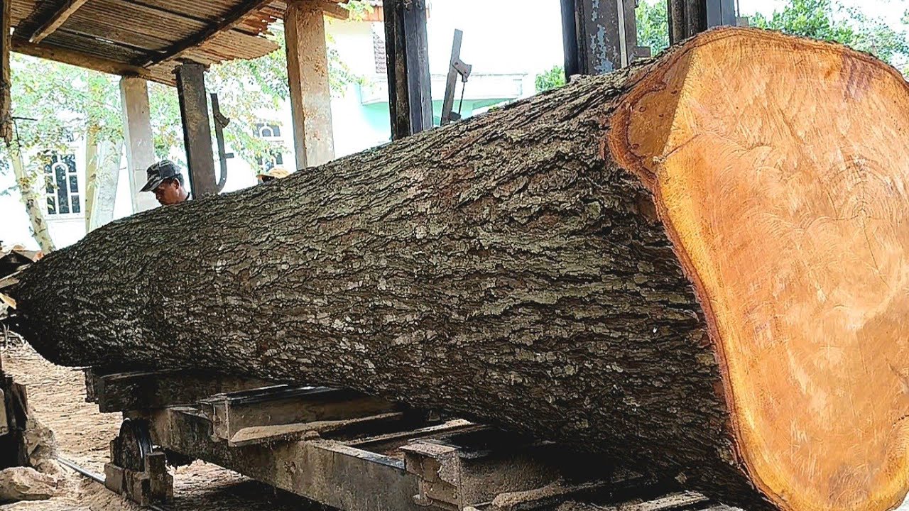 "The Process of Sawing Long Mahogany Wood with the Best Quality" - YouTube