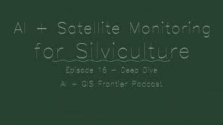 AI+GIS Frontier: 11 Remote sensing for silviculture