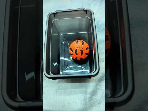 Feet Ball into