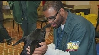 Inmates to Help Train Puppies to Become Guide Dogs