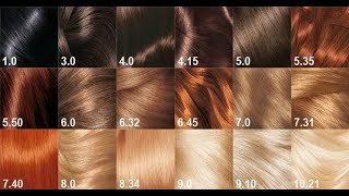 Warnain Rambut Dirumah Tanpa Bleaching | Garnier Golden Brown Hair Color