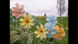 Teletubbies Flowers Footage 2