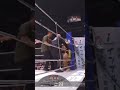 каршылашын жеп койду Шайдулаев #kyrgyzstan #mma #ufc