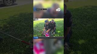 MORNING BUZZ: Charleston locals react to viral gator wrangling video