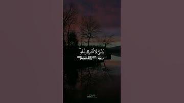 تلاوة هادئه تفيض جمالاً أرح بها بالك ومسمعك ❤️ القارئ : عبدالله الموسى