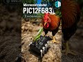 Microcontrolador PIC12F683 #2mtechperu #huanuco #arduino