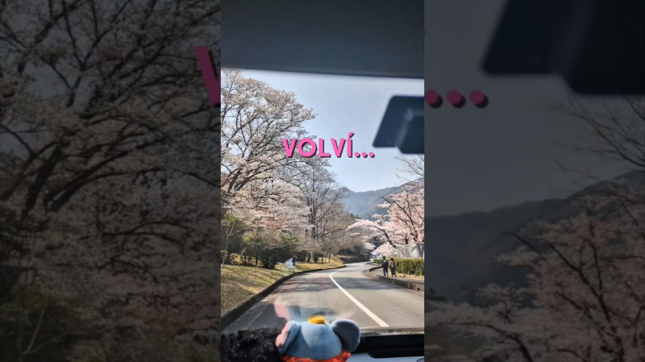 sé que estuve desaparecida...pero ya estoy de vuelta🩷🥹 gracias por seguir aquí! 🫂🩷 #shorts #japan