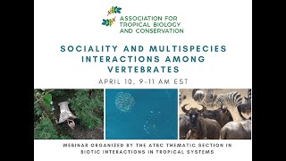 Atbc Webinar  Sociality And Multispecies Interactions Among Vertebrates