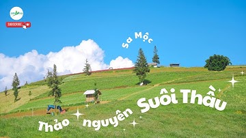 Thảo Nguyên Suôi Thầu - Hà Giang Có Gì ???