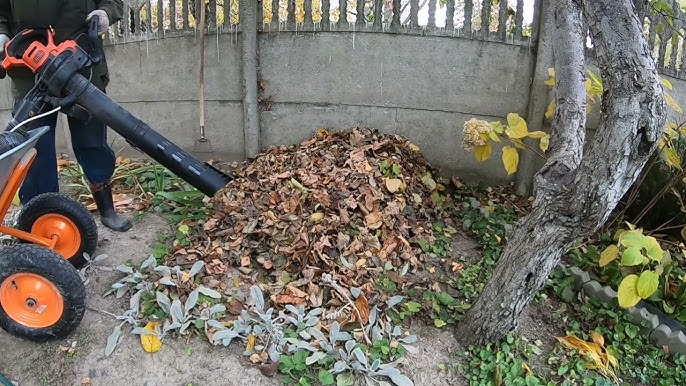 SOLVED! Black and Decker Garden Vacuum & Leaf Blower (How to switch) 