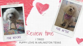Puppy Love Dog Groomer - Review by Hey DFW 34 views 2 years ago 2 minutes, 19 seconds