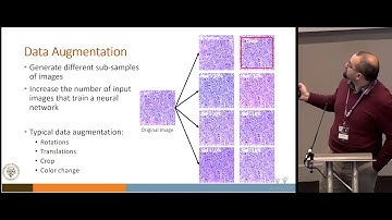 ECDP 2019 | Colour data augmentation for enhancing metastasis recognition and classification