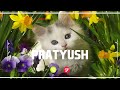 PRATYUSH Name Ringtone || PRATYUSH naam ki ringtone | PRATYUSH name smart ringtone | iphone ringtone