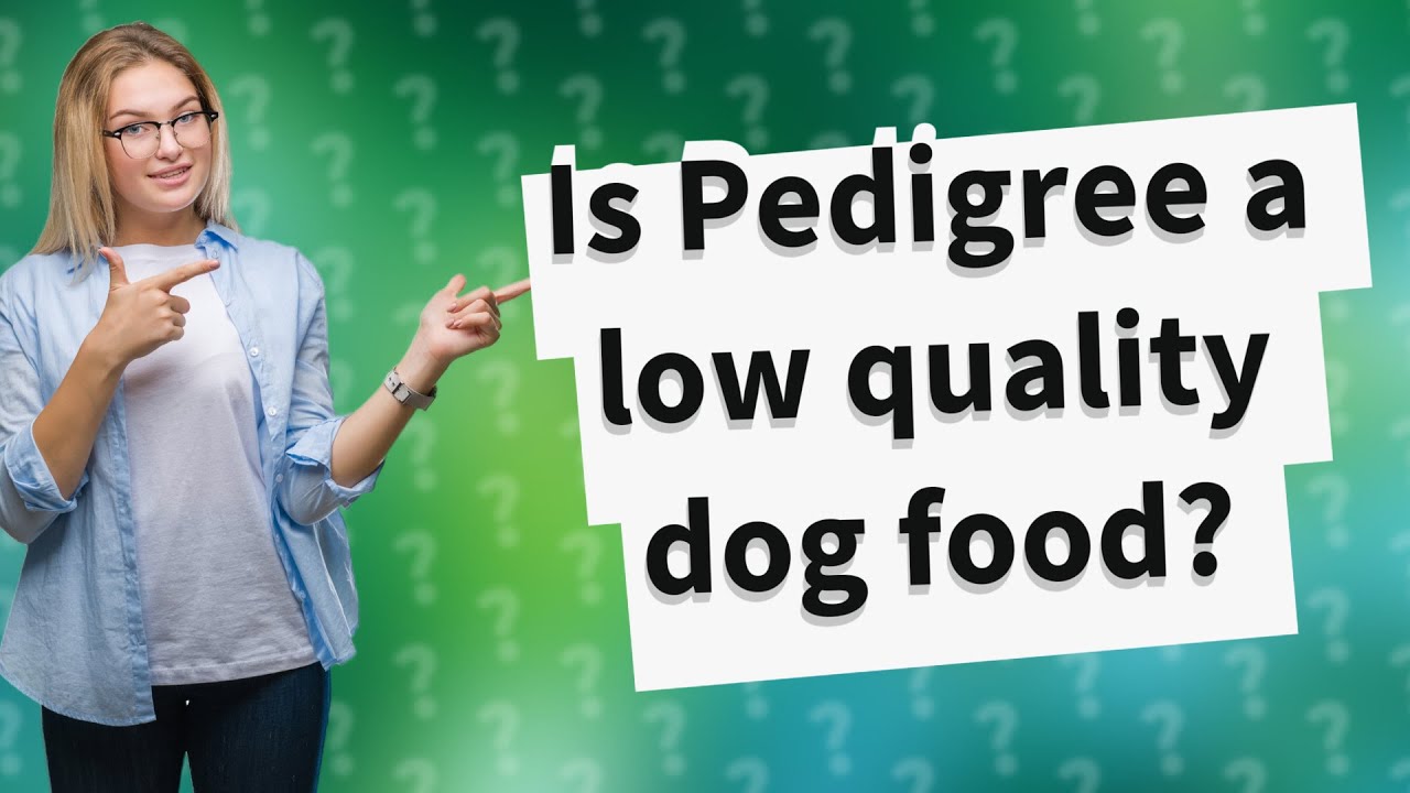 Is Pedigree a low quality dog food? YouTube