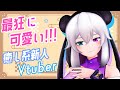 【自己紹介】しろのえろぐです!【新人Vtuber】