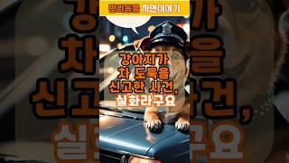 [반려동물 이야기] 강아지가 차 도둑을 신고한 사건, 실화라구요! l #감동#사연#이야기#shorts#shortsvideo#힐링#감성#음악#실화#반려견#반려동물 #기적
