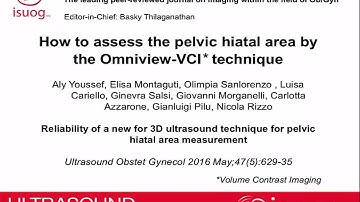 How to assess the pelvic hiatal area using a new 3D ultrasound technique