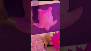 Pink TURTLE Cute DIY Room DECORATE 🌸✨🥰