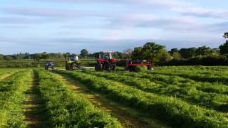 Mowing in reaseheath