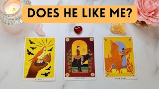 🔥 DOES HE LIKE ME??? 💘🙀🤔 Pick A Card 🔮✨ BLUNT TRUTH!! Timeless Tarot Reading